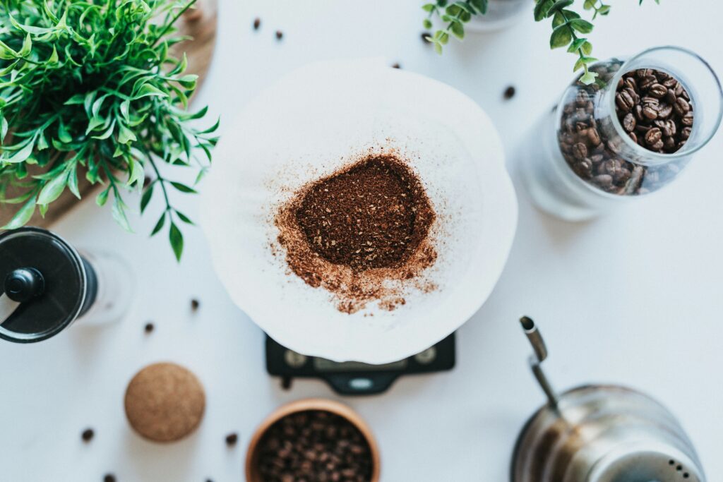 como acabar com a infestação de baratas francesinhas com borra de café